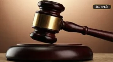 السجن المؤبد لتاجر أراضي بالإسكندرية في قضية حيازة 1000 طربة حشيش