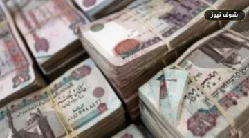 التأمين على عملاء التمويل الاستهلاكي يحمي الأسر والشركات بقرار من الرقابة المالية