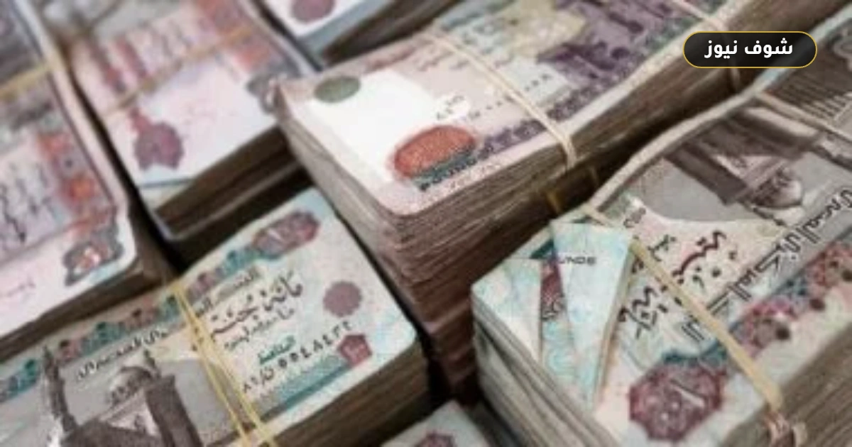 التأمين على عملاء التمويل الاستهلاكي يحمي الأسر والشركات بقرار من الرقابة المالية 5 التأمين على عملاء التمويل الاستهلاكي يحمي الأسر والشركات بقرار من الرقابة المالية