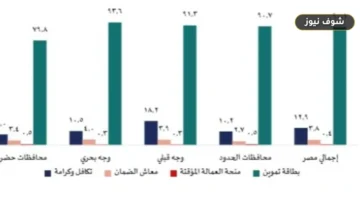 «التموين» تتصدر وتكافل وكرامة يتضاعف بالصعيد.. نتائج المسح الصحي للأسرة المصرية 2025 بالأرقام