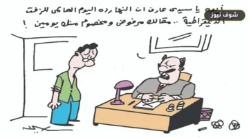 اليوم العالمي للديمقراطية | الموعد والأهداف المعتمدة أممياً