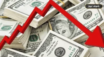 أقل سعر للدولار في البنوك المصرية اليوم السبت 19-9-2026 وقائمة الأسعار كاملة