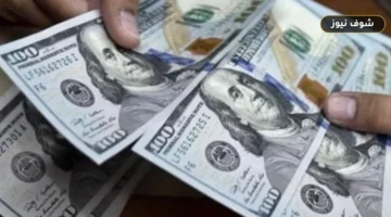 أقل سعر صرف للدولار في البنوك: فارق 1.93 جنيه بين ميد بنك وأبوظبي الإسلامي اليوم