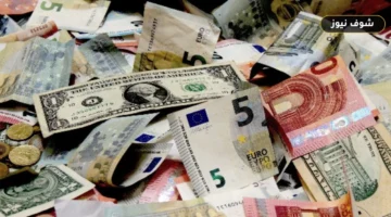 أسعار العملات الأجنبية اليوم في مصر: الدولار يسجل 52.21 جنيهاً وسط عطلة البنوك