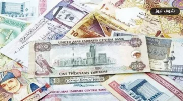أسعار العملات الأجنبية مقابل الجنيه المصري اليوم الأحد 13 سبتمبر 2026