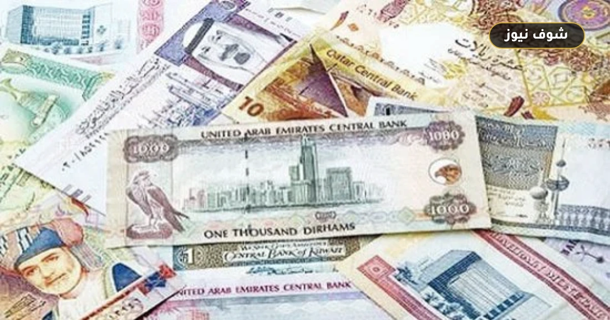 أسعار العملات الأجنبية مقابل الجنيه المصري اليوم الأحد 13 سبتمبر 2026 5 أسعار العملات الأجنبية مقابل الجنيه المصري اليوم الأحد 13 سبتمبر 2026