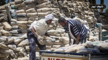 أسعار الأسمنت اليوم الأحد 13 سبتمبر 2026 في مصر