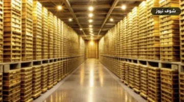 أسعار الذهب اليوم في مصر الأحد 13 سبتمبر 2026: عيار 21 يستقر تحت حاجز الـ 6300 جنيه