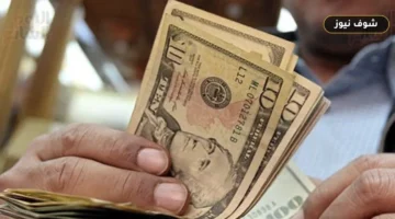 أسعار الدولار السبت 19 سبتمبر 2026 في 8 بنوك مصرية: قائمة الشراء والبيع والمقارنة