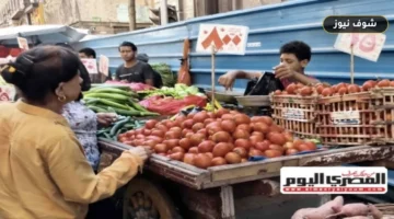أسعار الخضار اليوم في مطروح: الطماطم تسجل 25 جنيهًا وفجوة سعرية تبلغ 6 أضعاف بين الأصناف