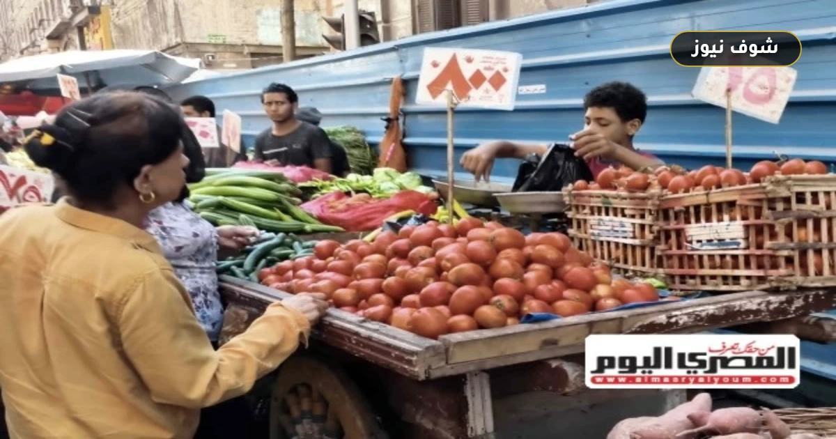 أسعار الخضار اليوم في مطروح: الطماطم تسجل 25 جنيهًا وفجوة سعرية تبلغ 6 أضعاف بين الأصناف 5 أسعار الخضار اليوم في مطروح: الطماطم تسجل 25 جنيهًا وفجوة سعرية تبلغ 6 أضعاف بين الأصناف