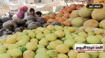 أسعار الخضروات اليوم في مطروح: الطماطم تبدأ من 20 جنيهاً والليمون يصل إلى 60