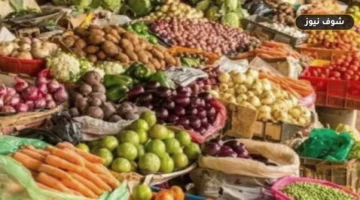 أسعار الخضروات والفاكهة اليوم الأحد 13 سبتمبر 2026 في أسواق الأقصر