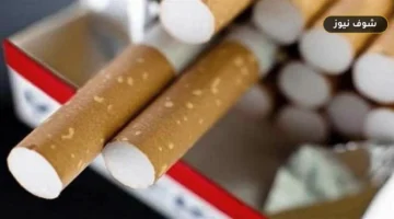 أسعار السجائر الرسمية اليوم الخميس 17 سبتمبر 2026: قائمة فيليب موريس والشرقية للدخان