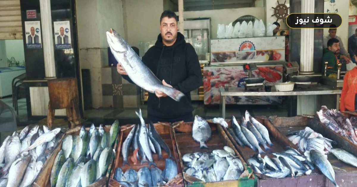 أسعار السمك والجمبرى اليوم فى أسواق مطروح الأحد 13 سبتمبر: فروق أسعار التجزئة عن الجملة 5 أسعار السمك والجمبرى اليوم فى أسواق مطروح الأحد 13 سبتمبر: فروق أسعار التجزئة عن الجملة