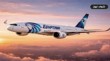 أسعار تذاكر رحلات القاهرة جدة في سبتمبر 2026 وأفضل مواعيد الحجز الاقتصادي