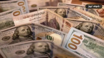 استرداد سلفة محولة بنكياً في القانون المصري: شروط الإثبات وإجراءات الدعوى