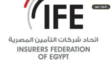 اتحاد التأمين يحدد 4 تغطيات أساسية لحماية أصحاب المهن الحرة في الاقتصاد الرقمي