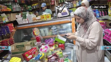 «بـ 50 جنيهاً للفرد».. موعد صرف تموين أكتوبر 2026 وجدول حصص السكر والزيت المحددة للبطاقة
