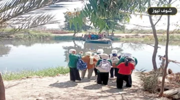 بعد ظهور تمساح.. مطلب كوبري لـ5 آلاف نسمة بالشرقية يعود للواجهة بعد 13 عاماً