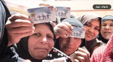 «بالرقم القومي فقط».. خطوات الاستعلام عن معاش تكافل وكرامة 2026 وموعد الصرف الشهري
