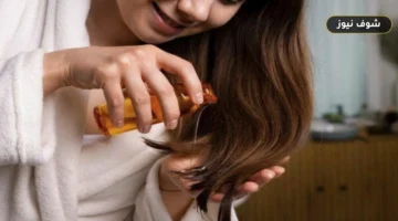 بديل مؤقت للقص.. 5 زيوت طبيعية لتحسين مظهر أطراف الشعر المتقصفة