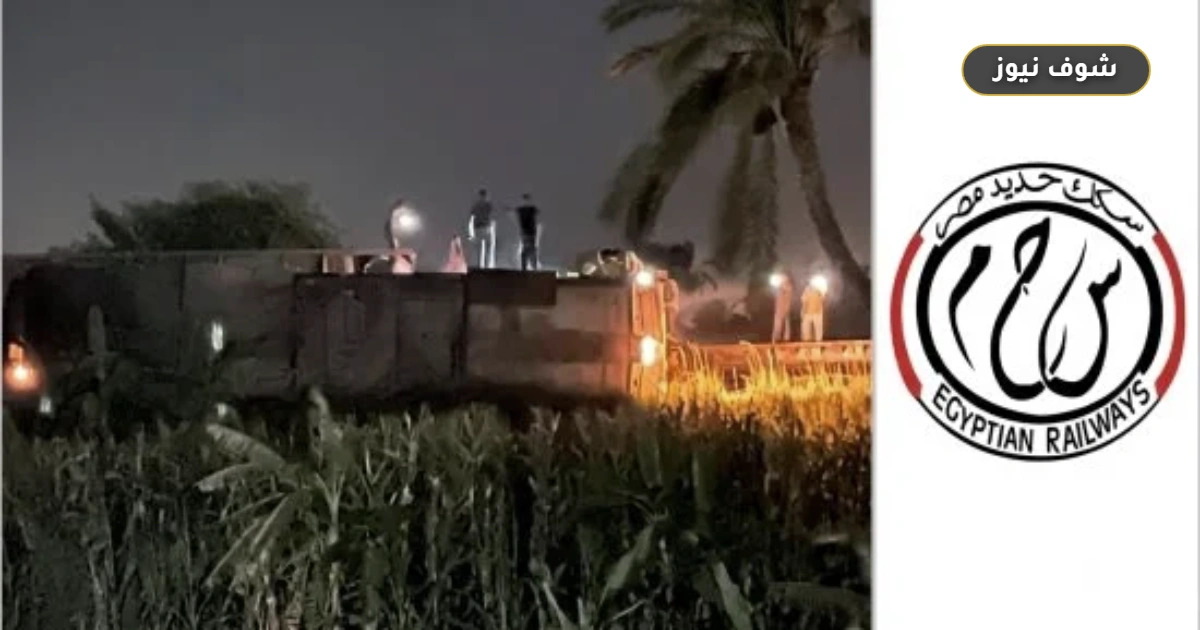 بيان نقابة السكة الحديد بشأن حادث البليدة: محاسبة حاسمة لـ 3 وحدات ساقطة وتأثيرات على حركة الركاب 5 بيان نقابة السكة الحديد بشأن حادث البليدة: محاسبة حاسمة لـ 3 وحدات ساقطة وتأثيرات على حركة الركاب
