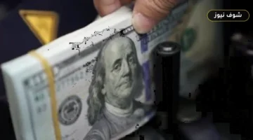 بين 50.77 و51 جنيهاً.. أسعار الدولار اليوم في البنوك المصرية الثلاثاء 1 سبتمبر 2026