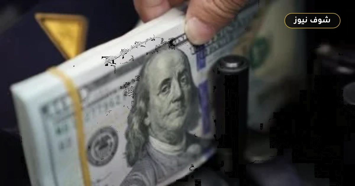 بين 50.77 و51 جنيهاً.. أسعار الدولار اليوم في البنوك المصرية الثلاثاء 1 سبتمبر 2026