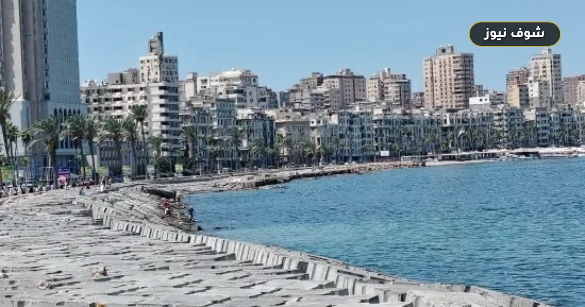 درجات الحرارة اليوم الإثنين 14 سبتمبر 2026.. فجوة "المحسوسة" تصل لـ 4 درجات بالسواحل 5 درجات الحرارة اليوم الإثنين 14 سبتمبر 2026.. فجوة “المحسوسة” تصل لـ 4 درجات بالسواحل