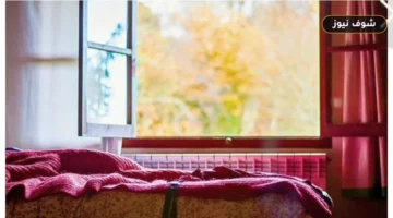 أقل من 60° لن تقضي عليه.. درجة حرارة غسيل الملايات لقتل عث الغبار نهائياً وسر قطرات الأوكالبتوس