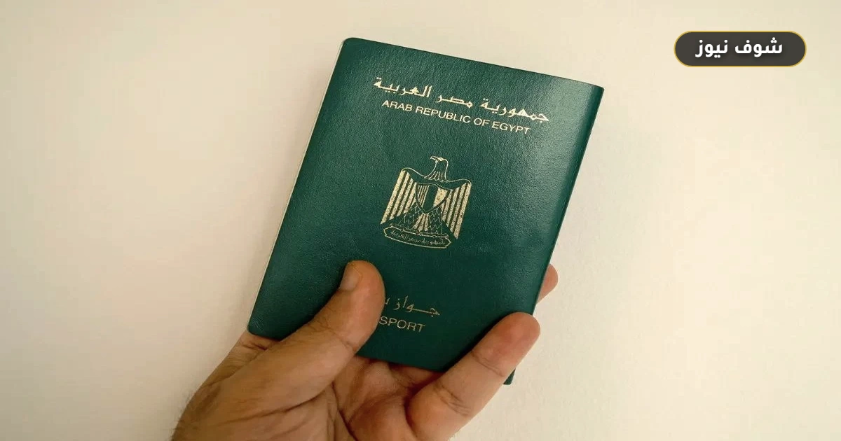 19 دولة يمكن للمصريين دخولها بدون تأشيرة مع شروط السفر لعام 2026 5 19 دولة يمكن للمصريين دخولها بدون تأشيرة مع شروط السفر لعام 2026