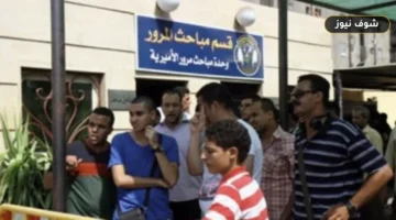 «دون رسوم إضافية أو طفاية حريق».. بدء تطبيق قرارات تراخيص المرور الجديدة والشباك الواحد رسميًا