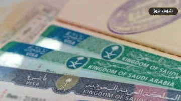 «دون رسوم وعلى مدار 24 ساعة».. خطوات الاستعلام عن صلاحية تأشيرة الخروج والعودة عبر منصة أبشر