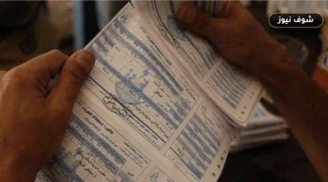 فاتورة كهرباء أكتوبر 2026: خطوات الاستعلام المباشر برقم العداد وسدادها إلكترونياً