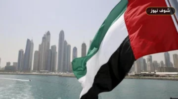 فرص العمل في الإمارات بعد الإصابة وخطوات التوظيف النظامية