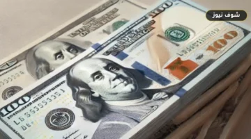 فروق أسعار الصرف.. أقل سعر شراء للدولار يسجل 51.98 جنيه ببنك كريدى اجريكول وتثبيت السعر عند 52.02 جنيه في 7 بنوك