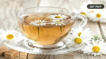 فوائد شاي البابونج قبل النوم.. ماذا يقدم لجسمك وما هي حدوده العلاجية؟