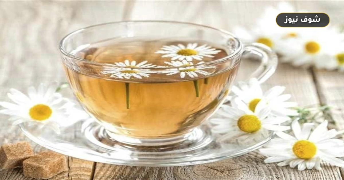 فوائد شاي البابونج قبل النوم.. ماذا يقدم لجسمك وما هي حدوده العلاجية؟ 5 فوائد شاي البابونج قبل النوم.. ماذا يقدم لجسمك وما هي حدوده العلاجية؟