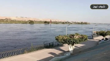 حالة الطقس اليوم في مصر السبت 19 سبتمبر 2026: خريطة درجات الحرارة وفرص الأمطار والشبورة