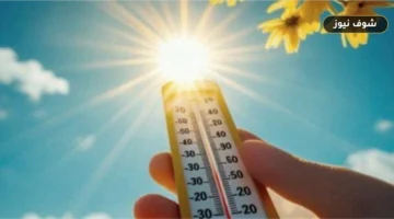 حالة الطقس في مصر لمدة أسبوع: انخفاض تدريجي للحرارة وفرص أمطار حتى 25 سبتمبر