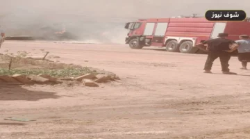 حريق مزرعة الإنتاج الحيواني في الخارجة بالوادي الجديد يسفر عن إصابة شخص وتلفيات بالأعلاف
