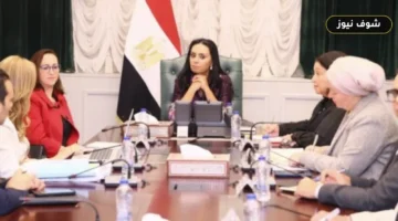 حصر دور الحضانات في مصر: 48 ألف منشأة ونسبة تغطية 17.3% تكشف فجوة الاستيعاب