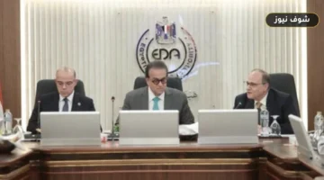 هيئة الدواء المصرية: 4 علامات تستوجب استشارة الطبيب للكشف عن سرطان الدم