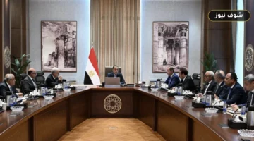 إعادة هيكلة 6 شركات قابضة رئيسية بمصر لتنظيم التبعية وتعظيم عوائد الأصول