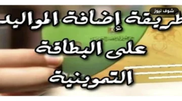 إضافة المواليد على بطاقة التموين 2026: شروط الحد الأقصى (4 أفراد) ودخل 3000 جنيه