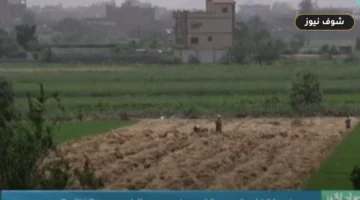 خريطة الإرشاد الزراعي في عيد الفلاح الـ74 بالأرقام والنسب لعام 2025-2026