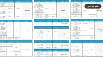 خريطة عوائد شهادات الادخار في البنوك المصرية قبل اجتماع البنك المركزي