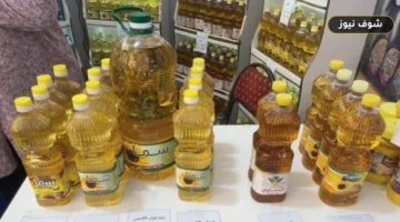 خريطة منافذ مبادرة تخفيض السلع في الجيزة: 31 موقعًا للمرحلة الأولى