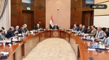 خطة إحياء «شبرد» و«الكونتيننتال» وتوسعات المحافظات.. تفاصيل اجتماع مشروعات القابضة للسياحة والفنادق